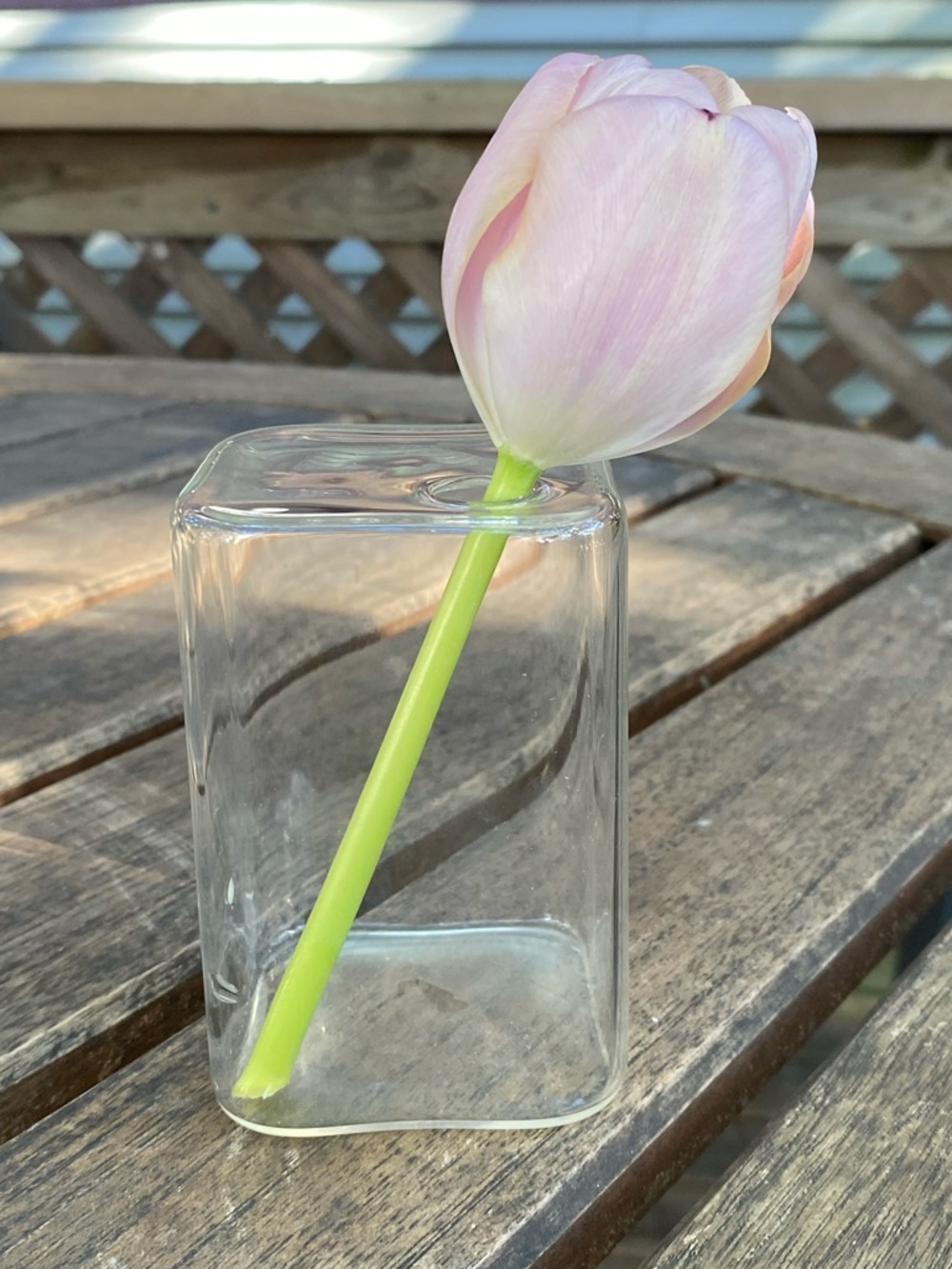 Clear Glass Cube Bud Vase